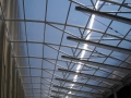 DSCN4705
